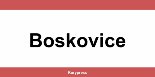 DPD depo Boskovice – kontakt