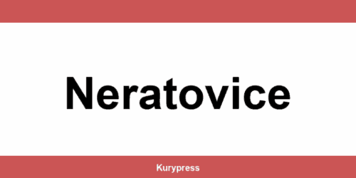 DPD depo Neratovice – kontakt