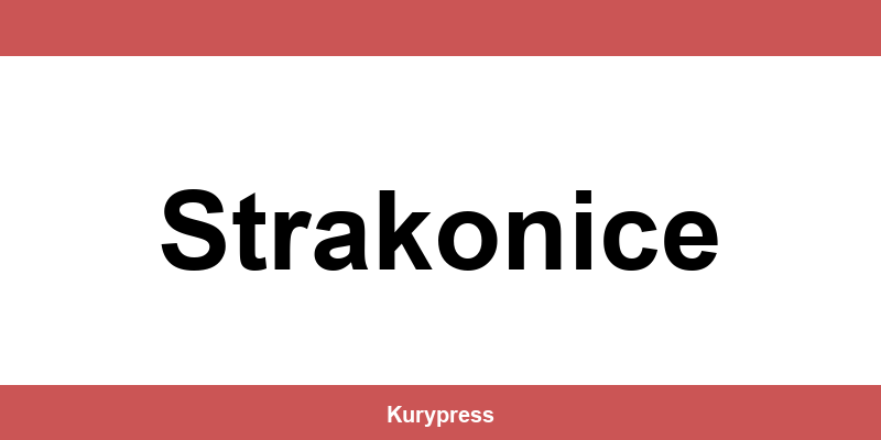DPD depo Strakonice – kontakt
