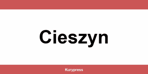 DPD depo Cieszyn – kontakt
